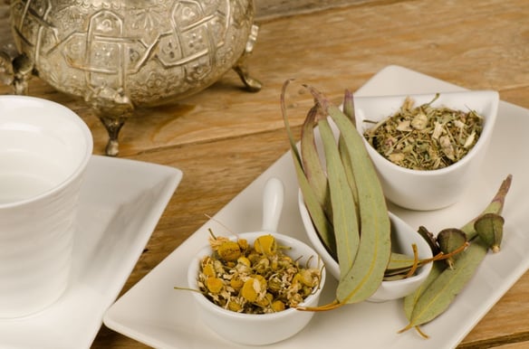 naturopathic medicine 