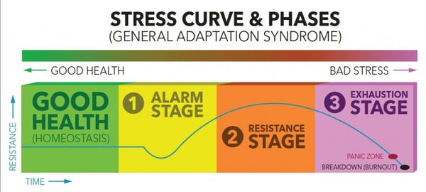 stress phases metabolism