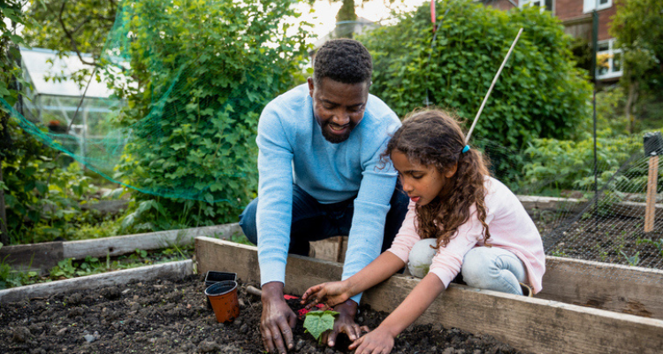 How Gardening Helps Your Mental Health