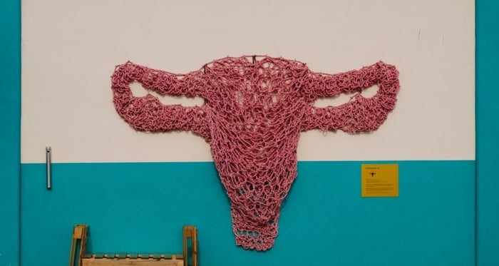 pink-art-female-feminine-knitting-turquoise-teal-sex-feminist-art-uterus_t20_pYXzAP (1)