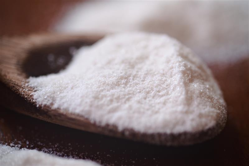 shutterstock_2472853753