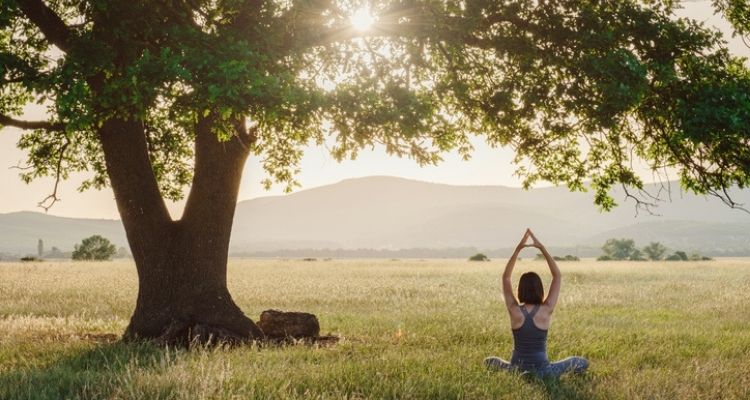 woman meditating in nature by a large tree