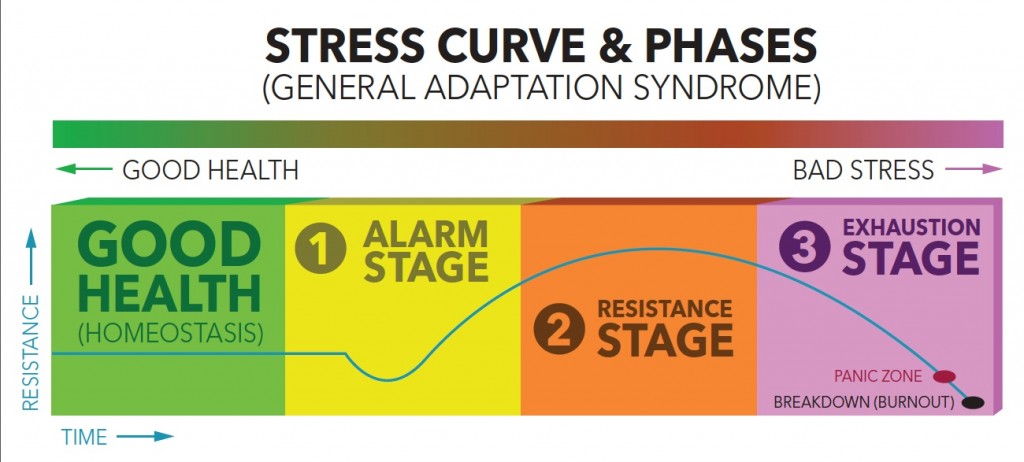 How does stress affect weight and metabolism?